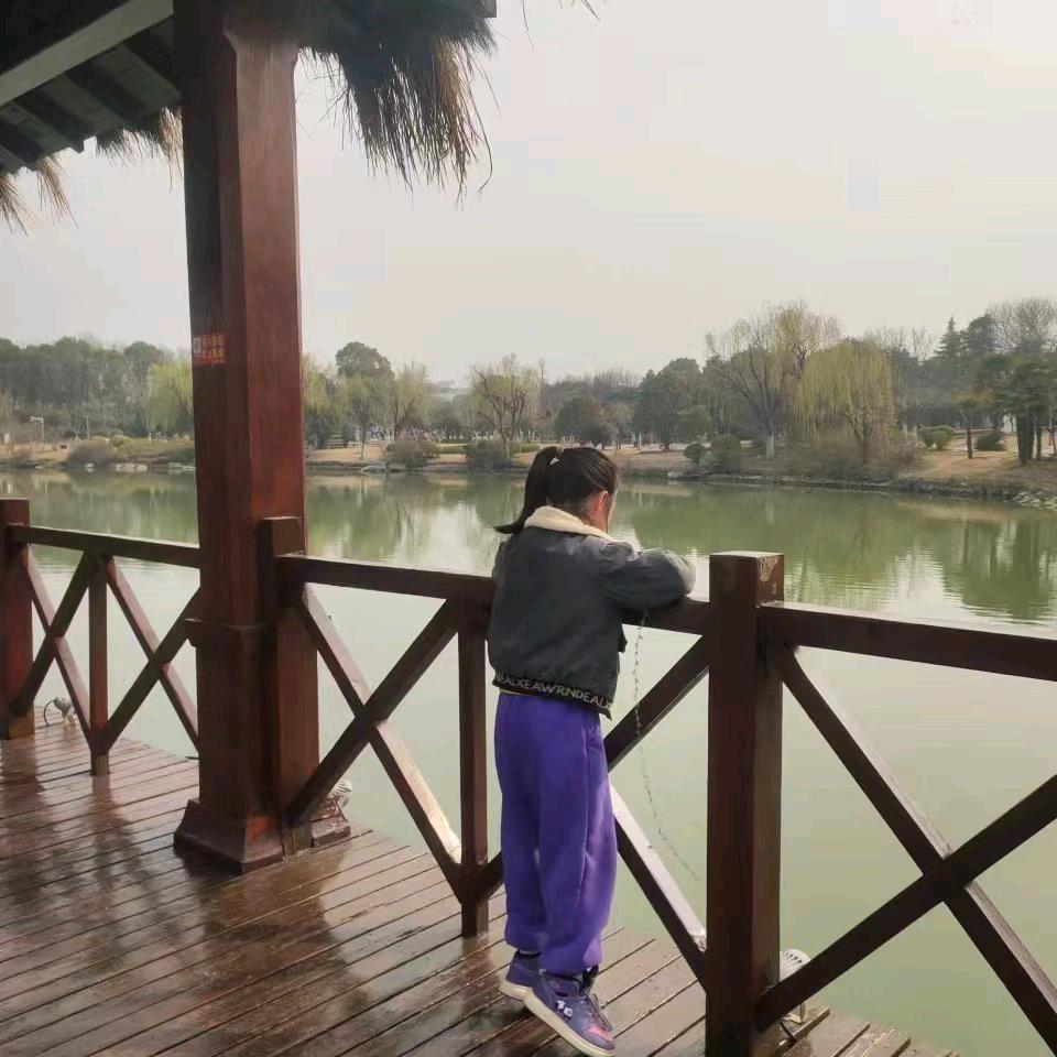 乔二妮