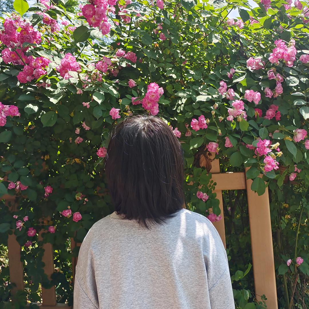 轻阳飞舞