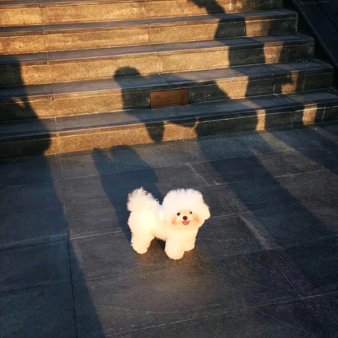 明明就.