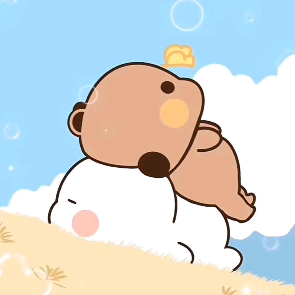 @是布布阿💫