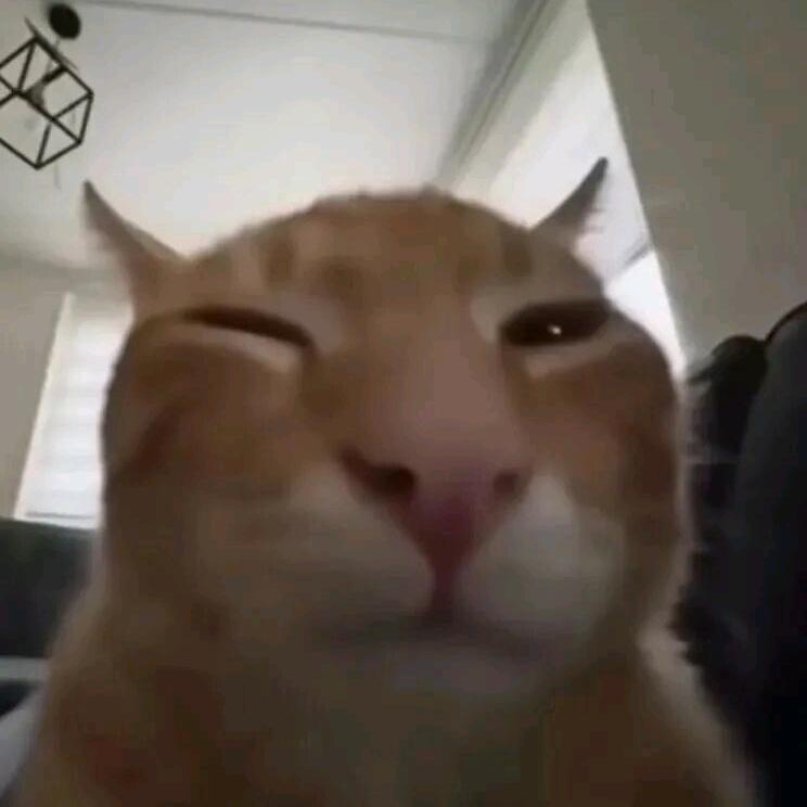 小果
