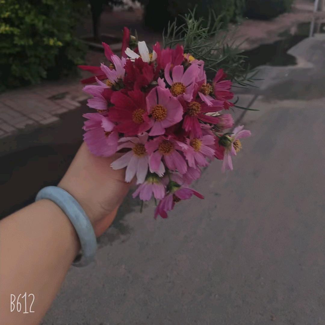 ♥(安稳)♥