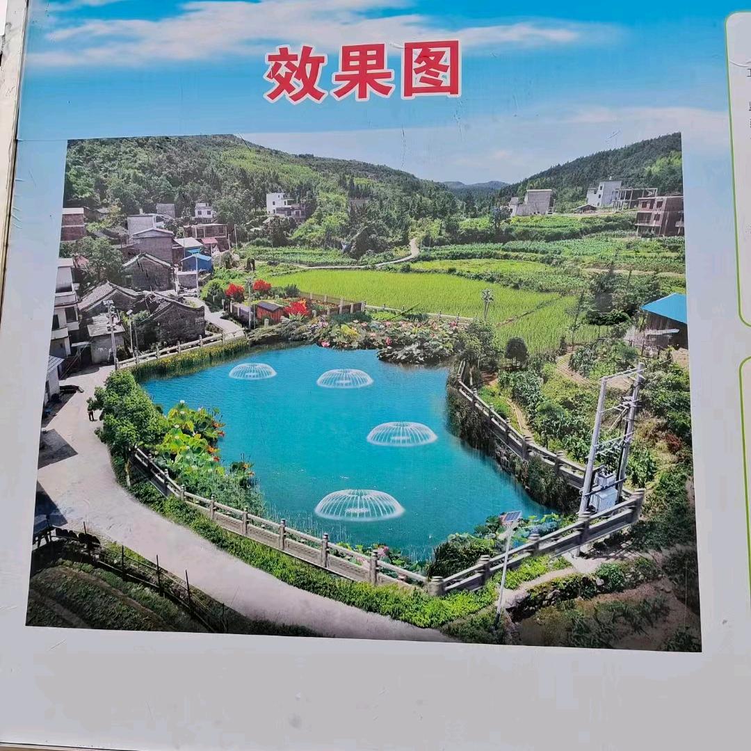 雷哥