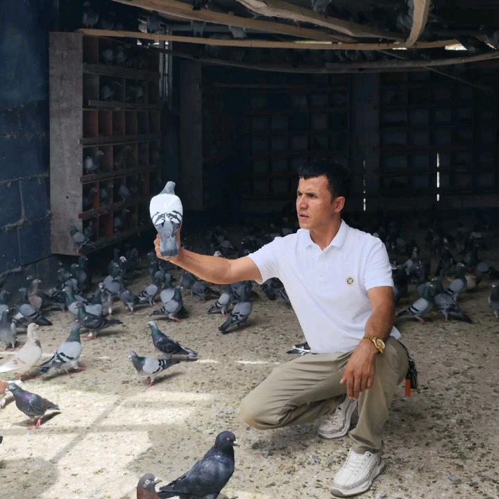 阿不都为力二号店