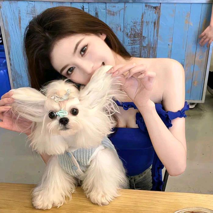 麦恩莉