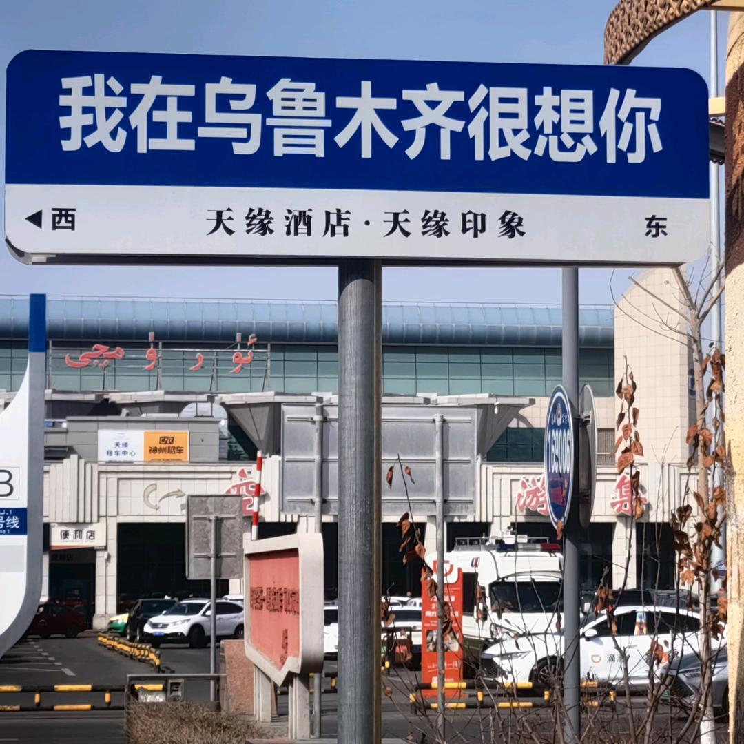 世龙归大海