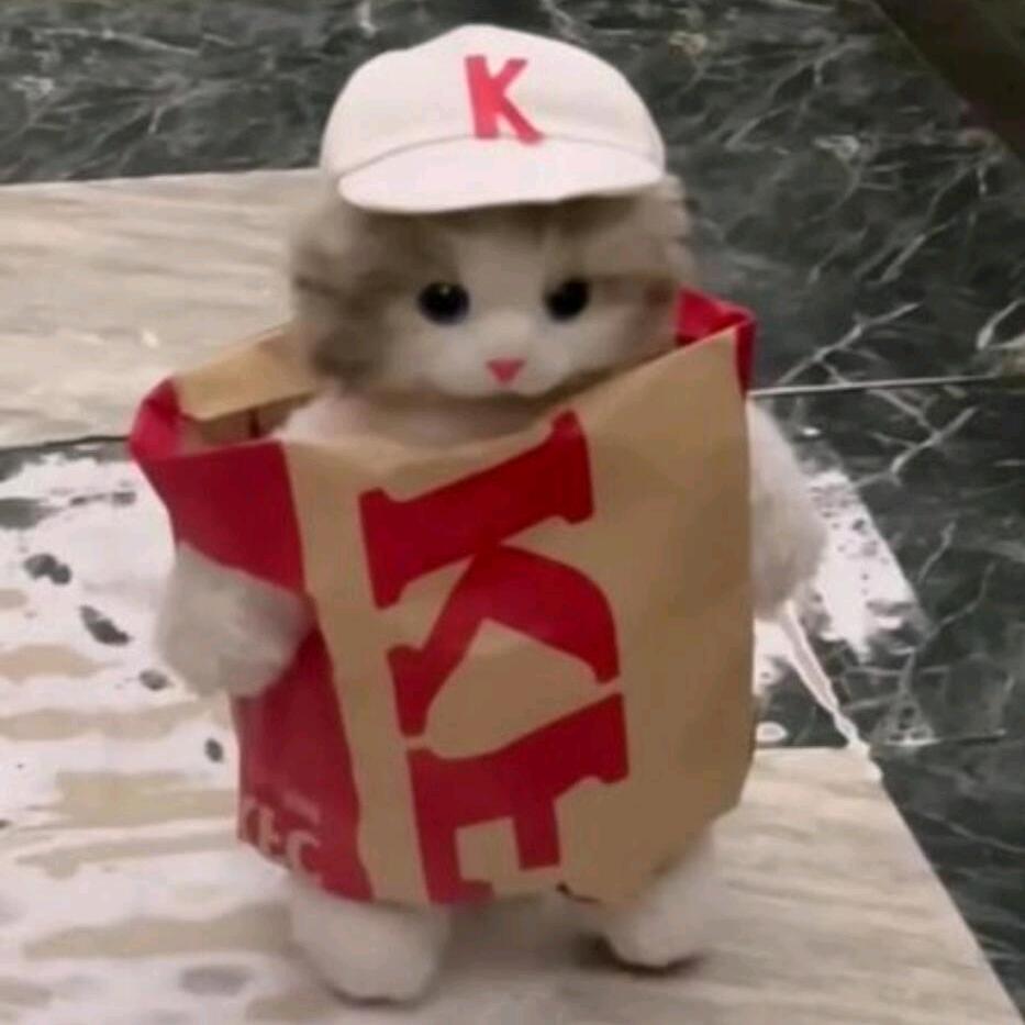 嘉乐猫meme