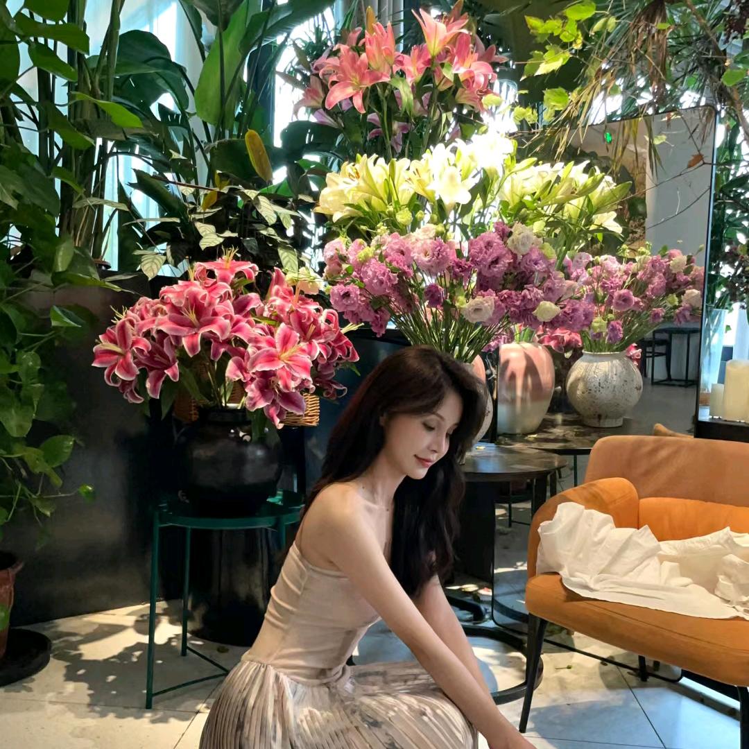 一个懒杨杨