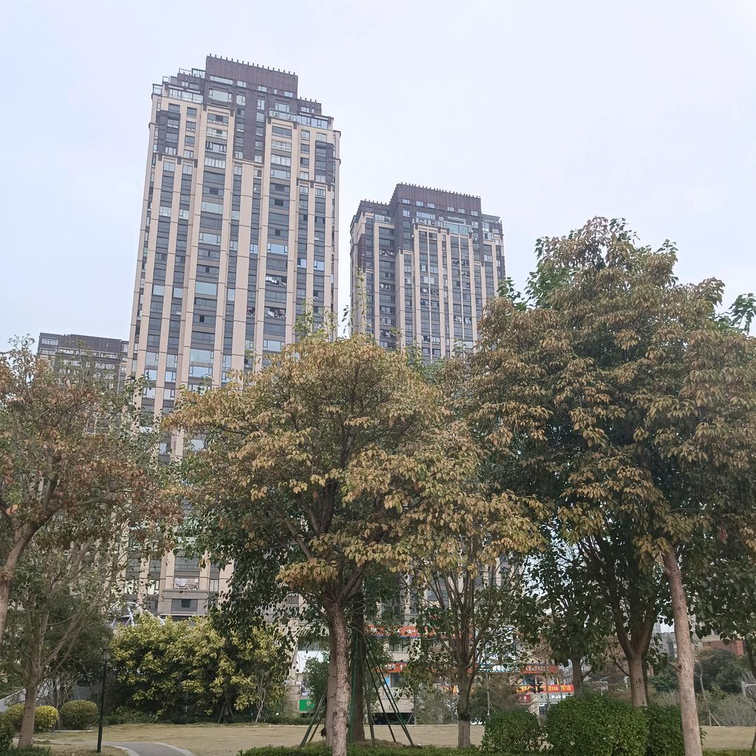 乘风破浪