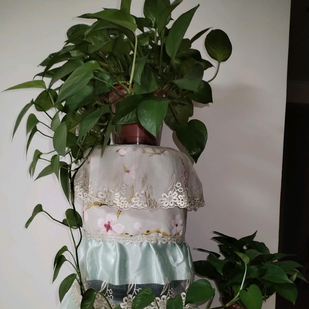 风雨彩虹