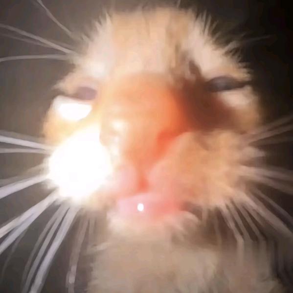莹莹