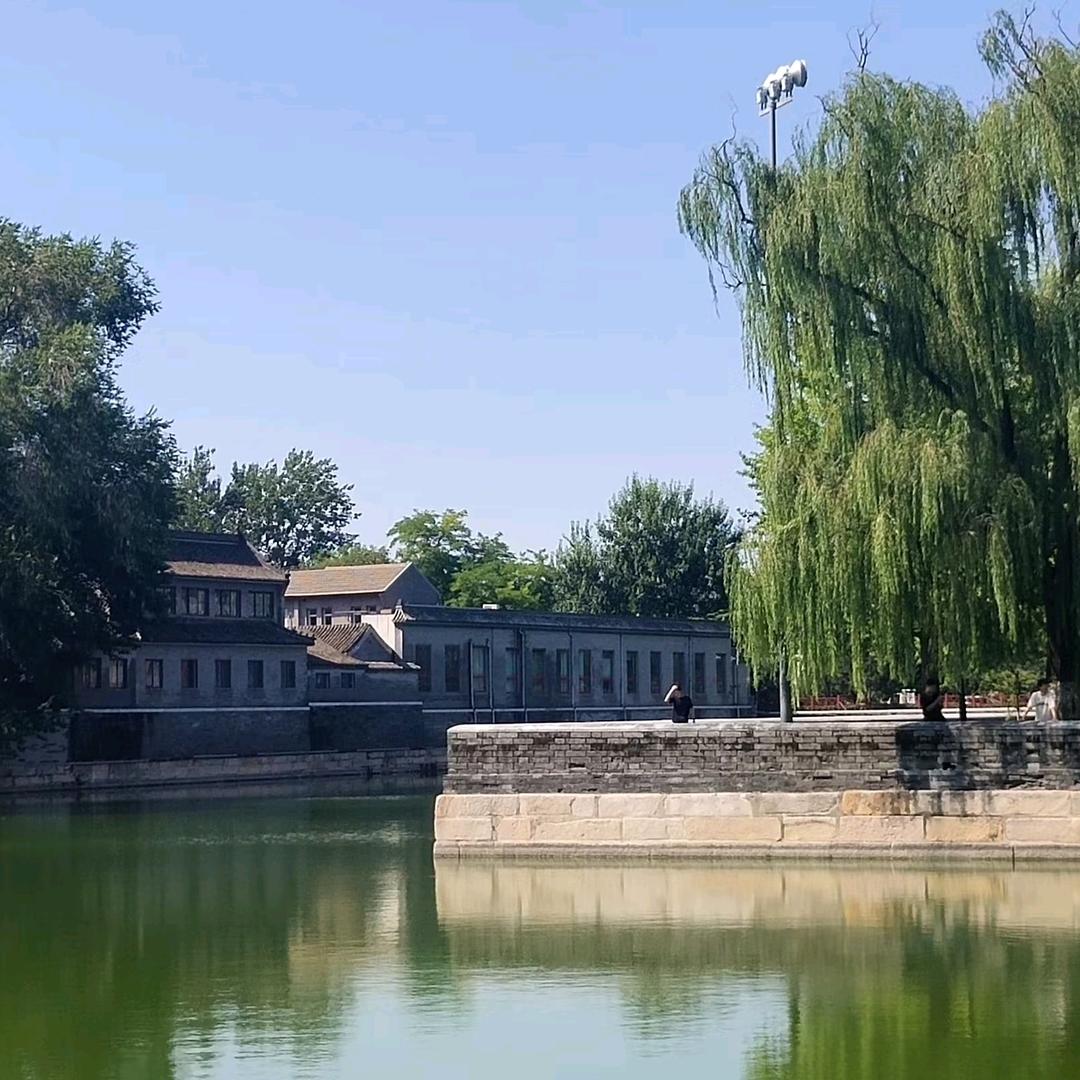 杨光普赵