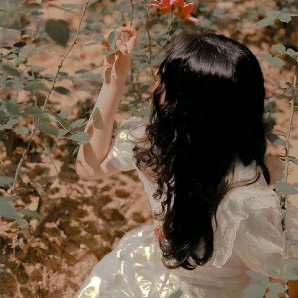 有¹点小糕冷✨