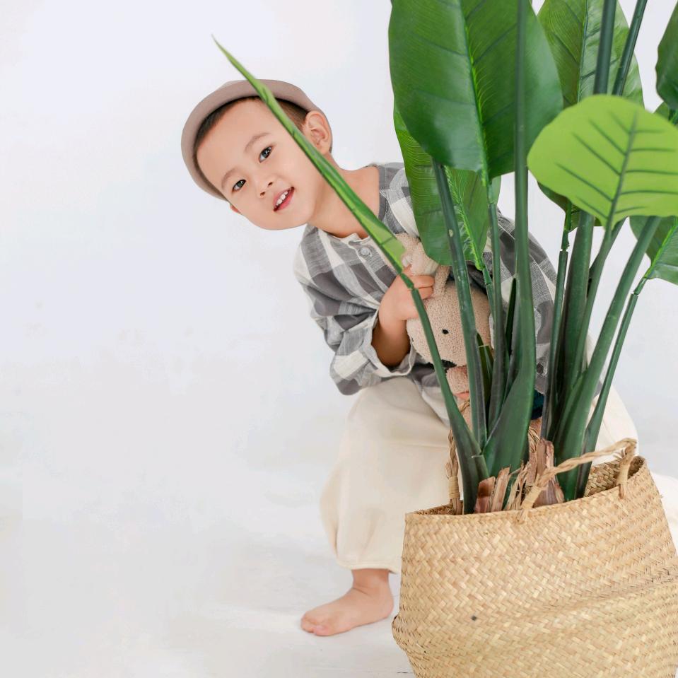 举不动的小公举