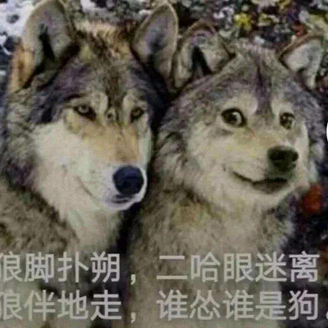 一条咸鱼干