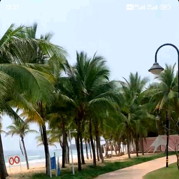 鲜果汇(黄金蜜柚）