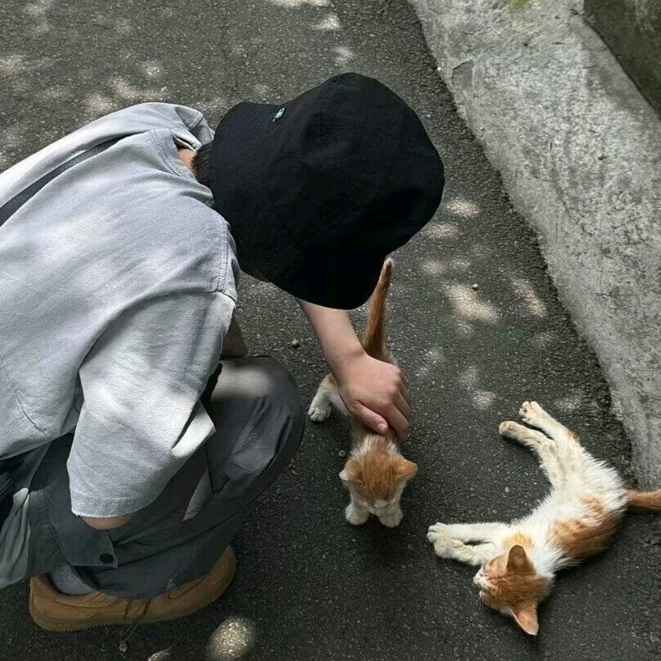 求财向善