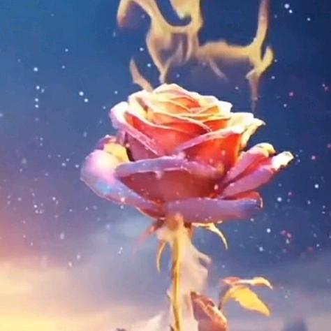 TIAN💞᭄如梦💞᭄