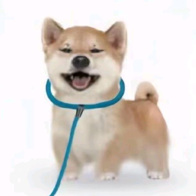 比邻之雀