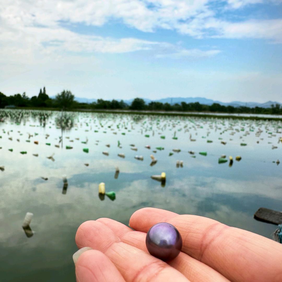 解压小铺（超级蚌蚌糖）