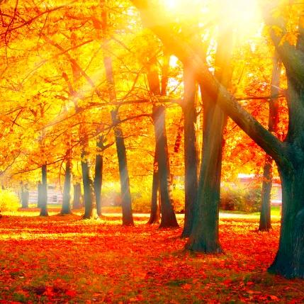 道清德明💥((🔥))