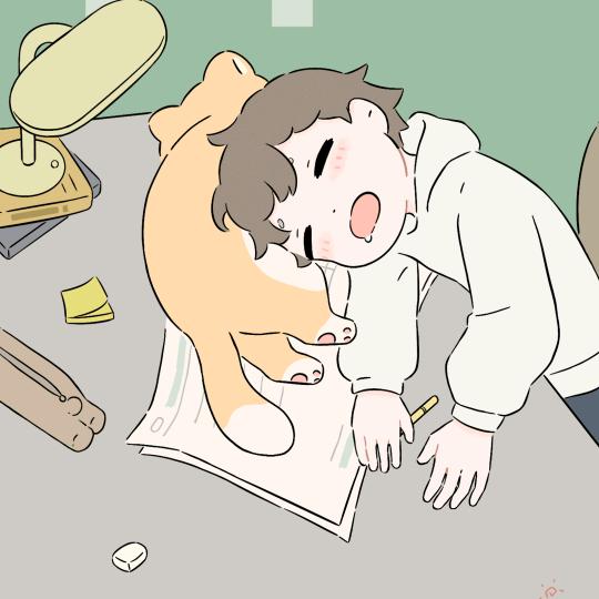 憧仰