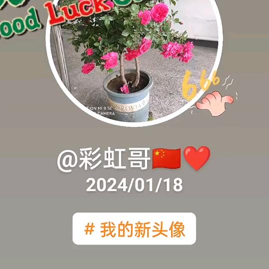 彩虹哥