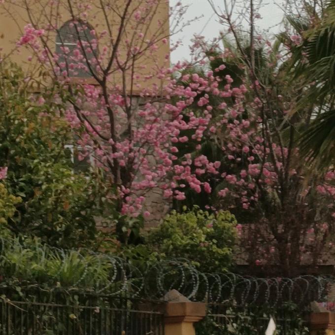 追随时代梁姐