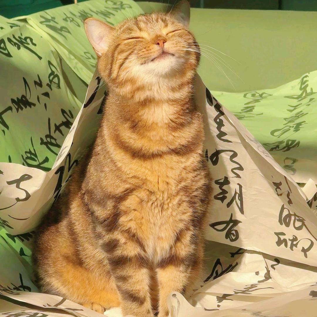 临界线