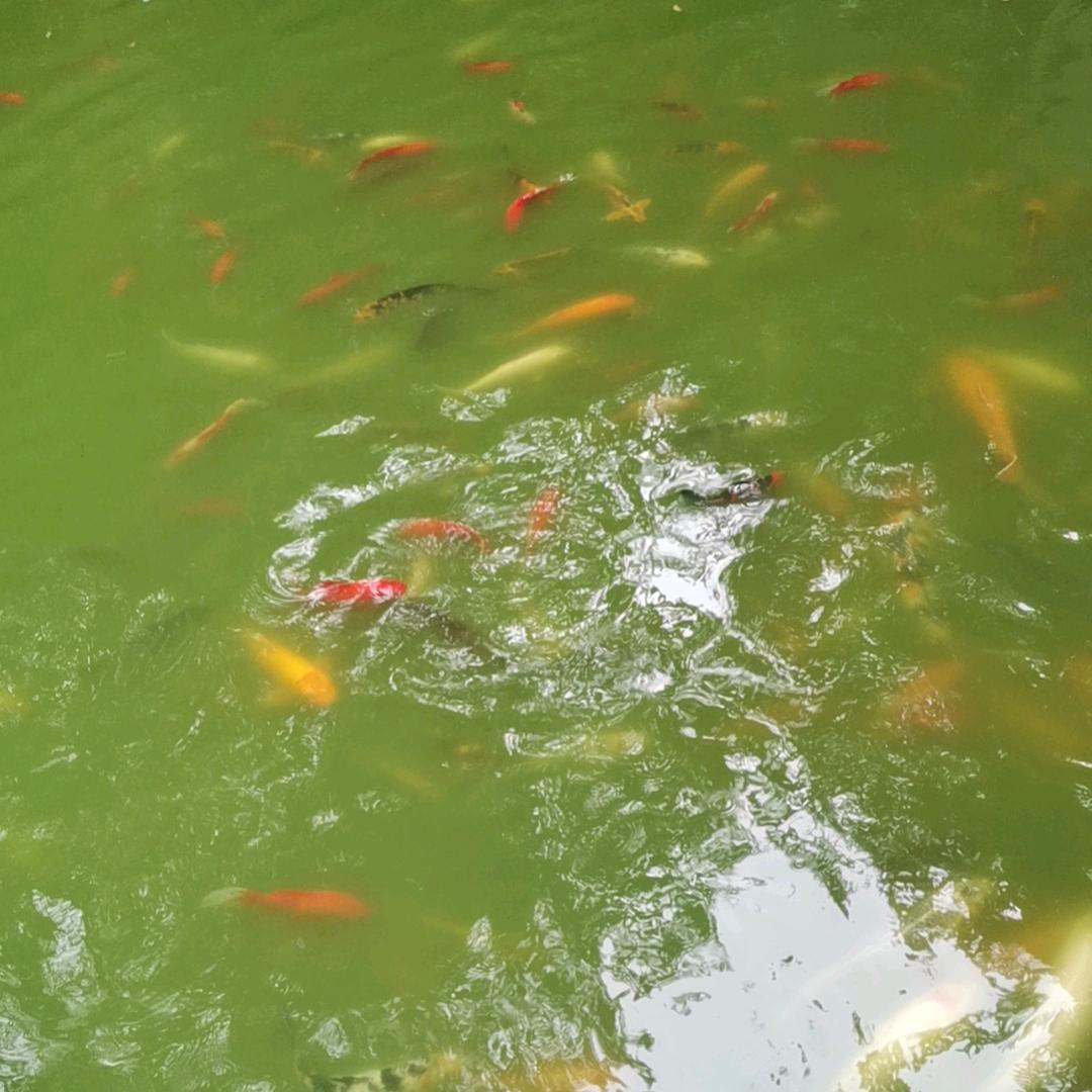 开心每一天丶