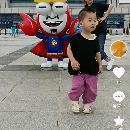 小哲哲