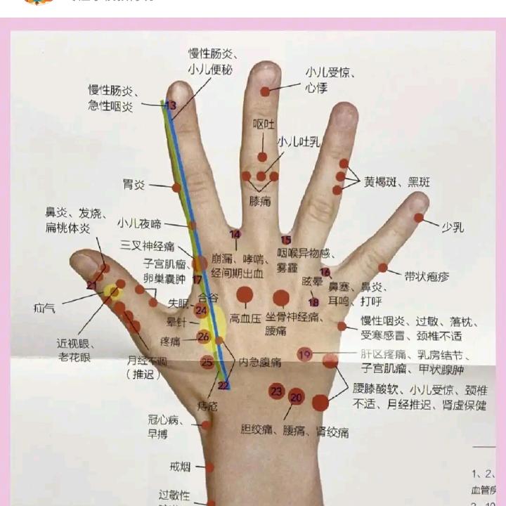 健康咨询导师（分享）