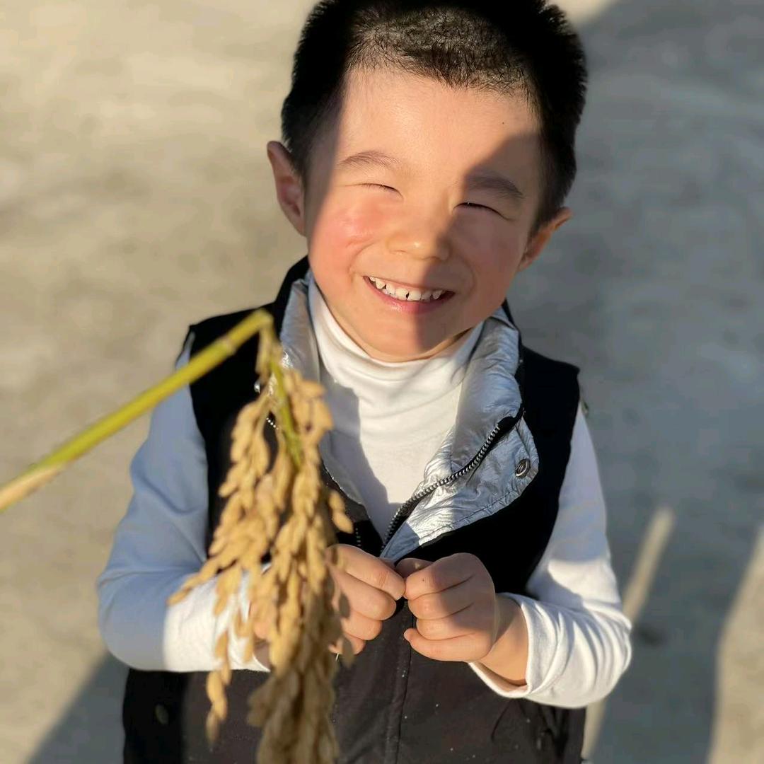 小丸子食品总店