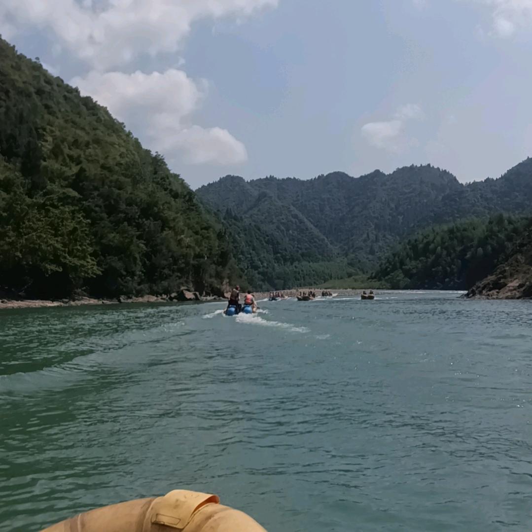 我是一只鱼头像