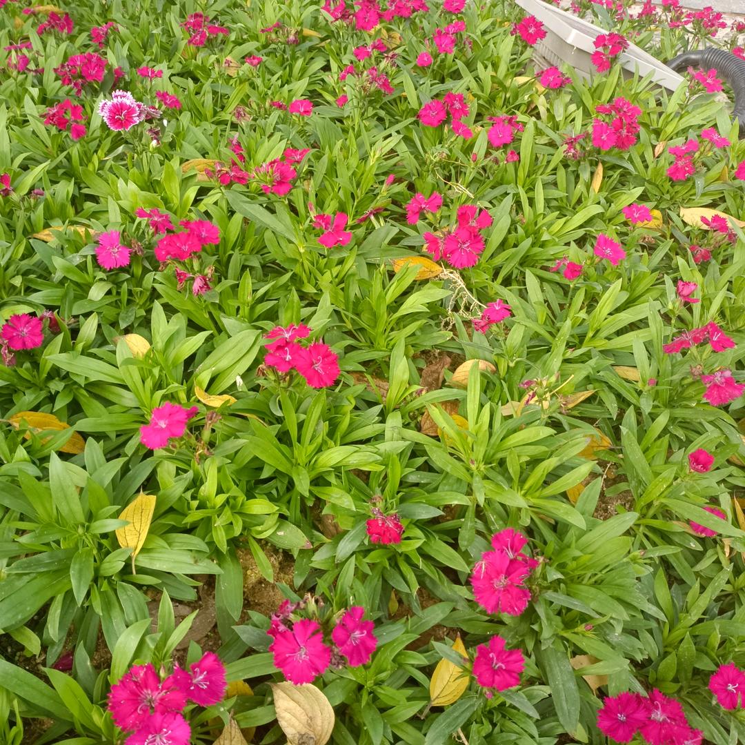 往后余生活成自己想要的样子