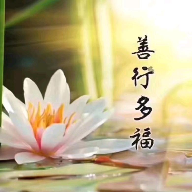 越来越好（不忘初心）