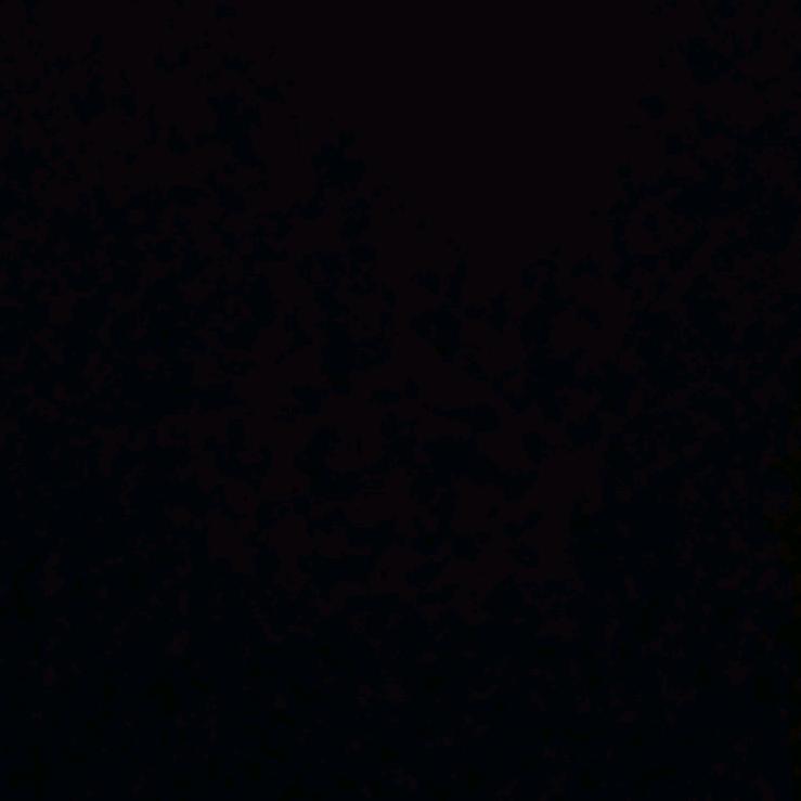 温酒눈_눈叙余生