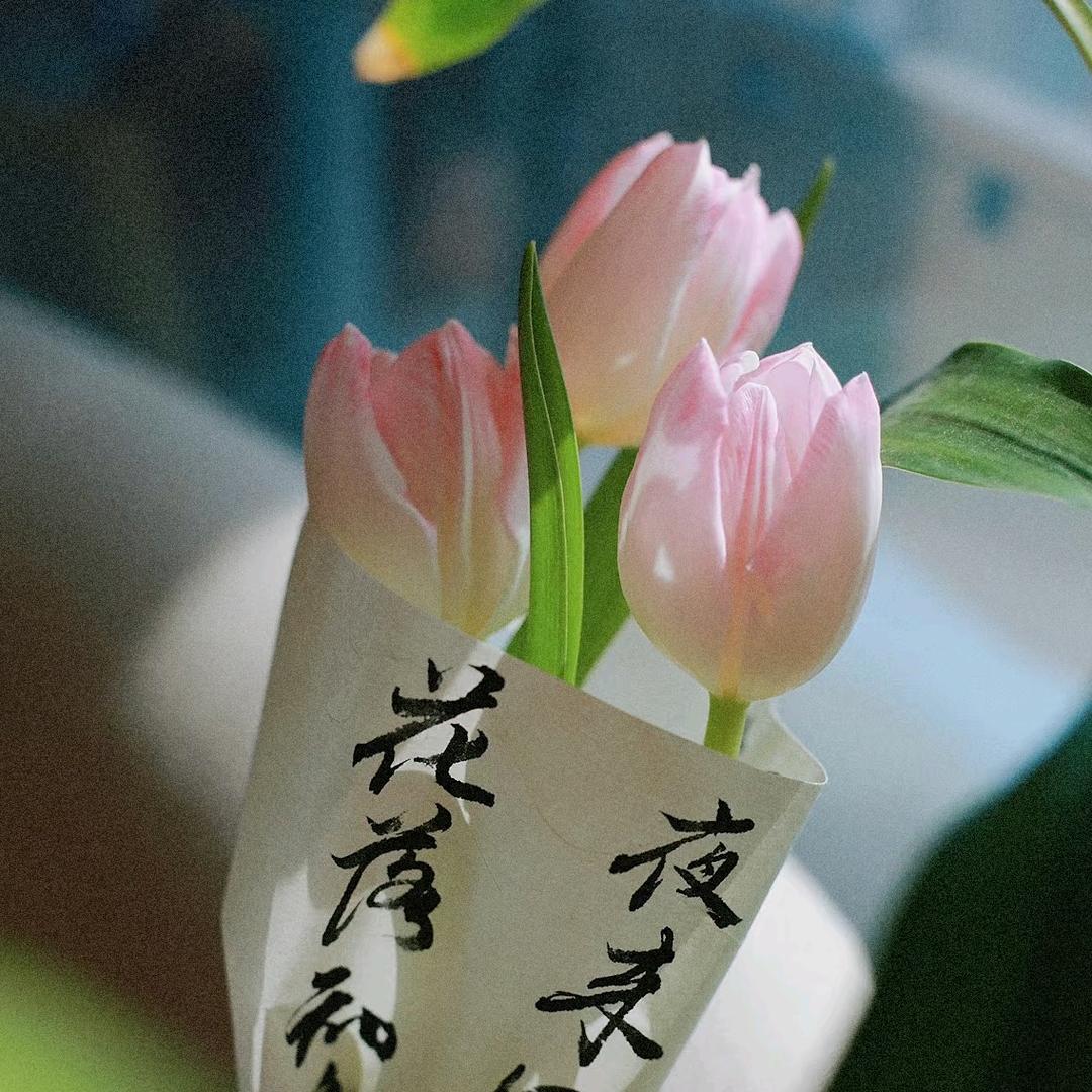 扬扬