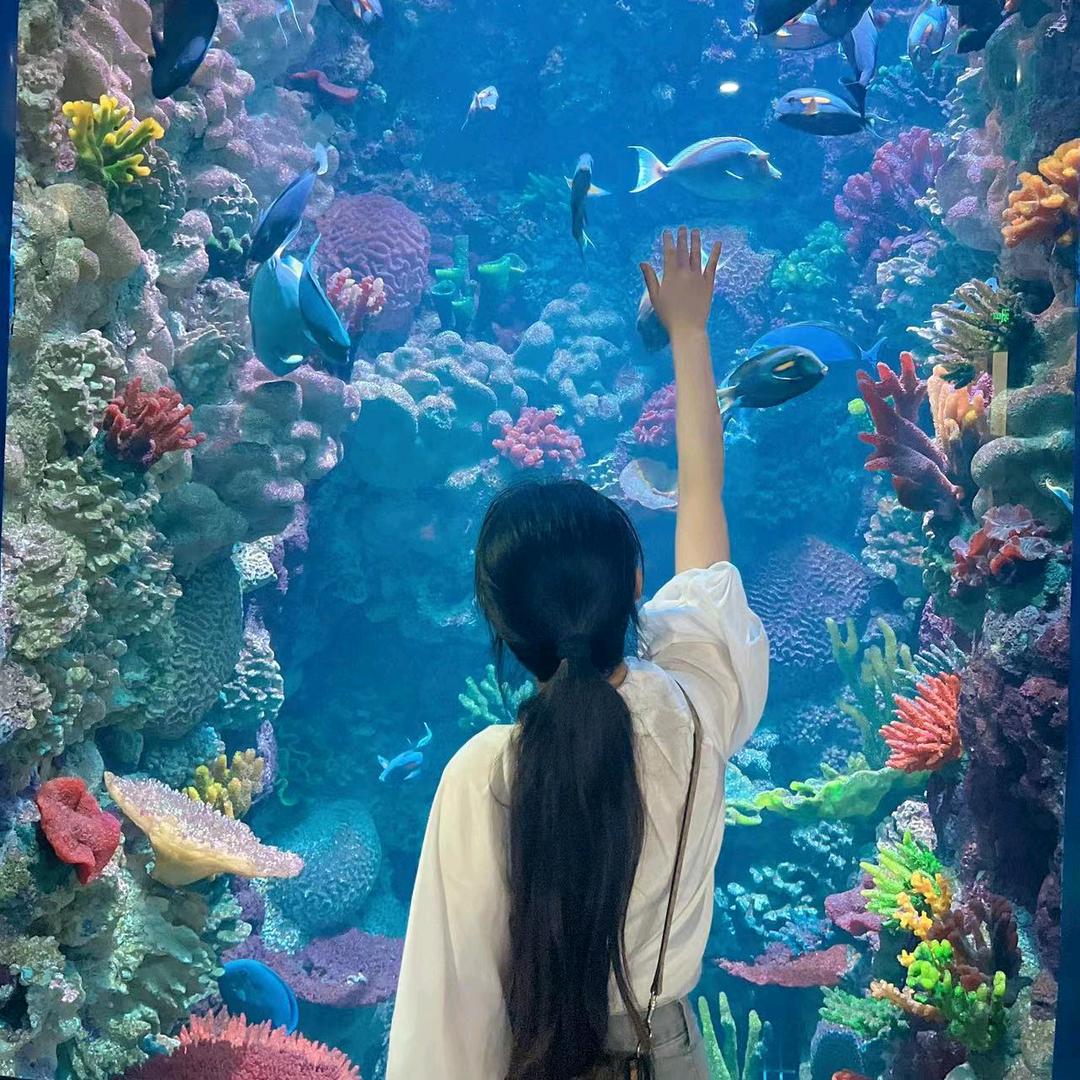 小羊聊建工
