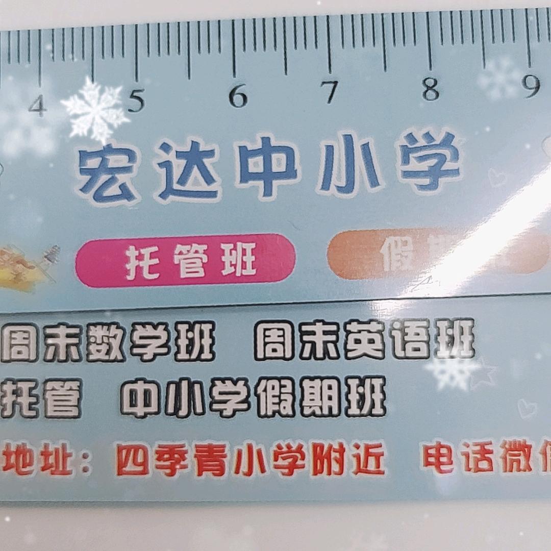 绿园区中小学教育