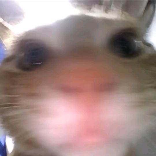 人间有味是清欢