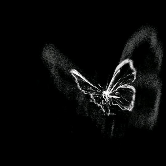 吴川贵贵臻选阁