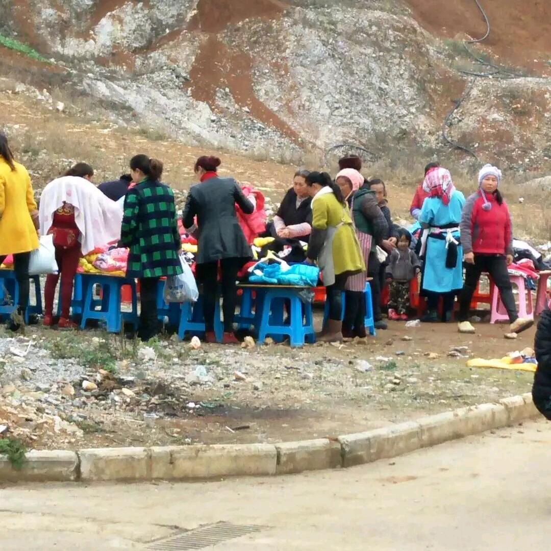 鲨鲨鱼童装