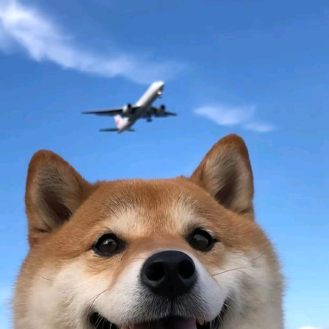 溜子