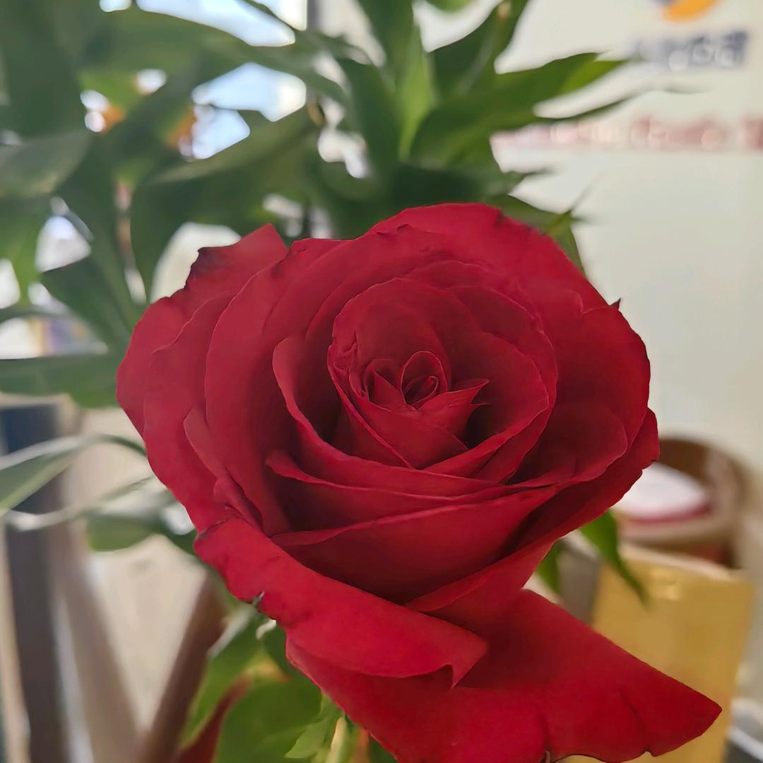 东莞市华韵塑胶原料有限公司