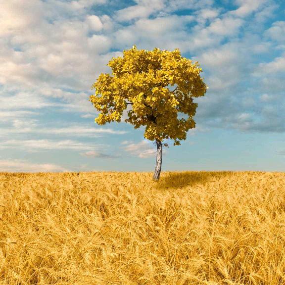 清风已过，未来可期