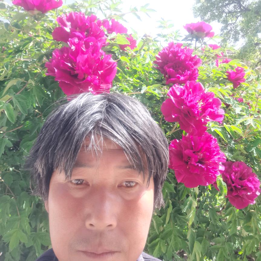 水墨丹青🐅🐅🐅🐅