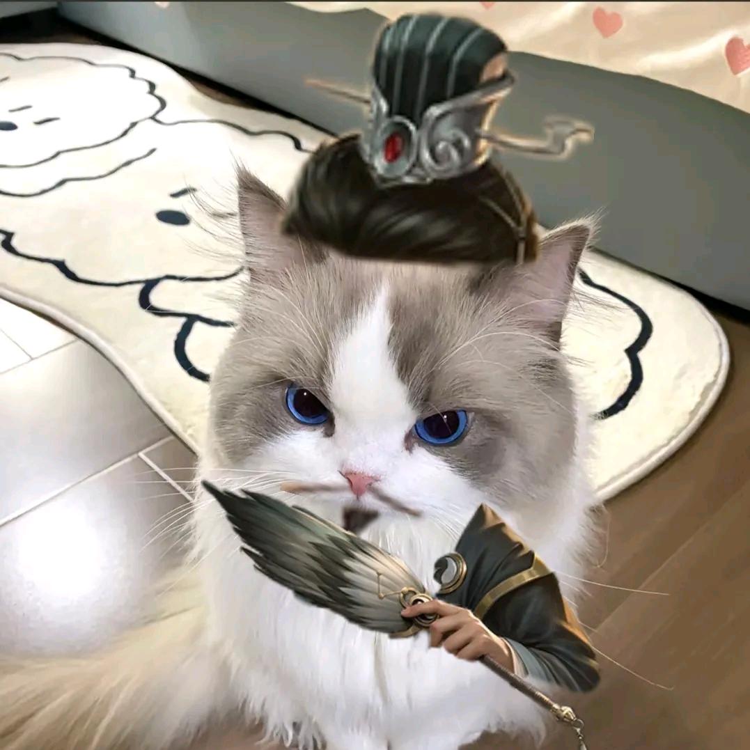 华华华华华ㅤ── 展开999条回复 ⌵