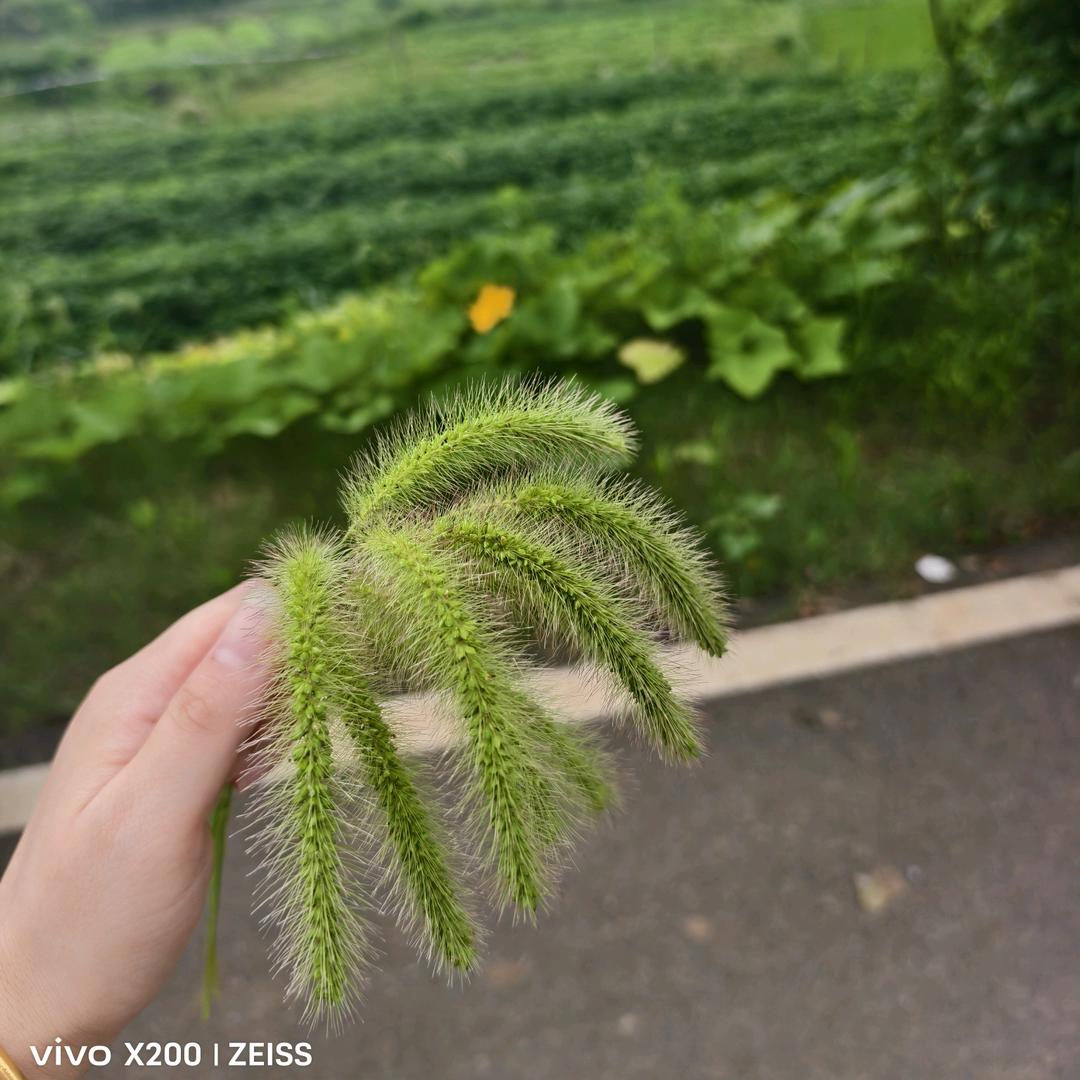 ᥫᦱᐝ事事🌻如意ཀོ࿐