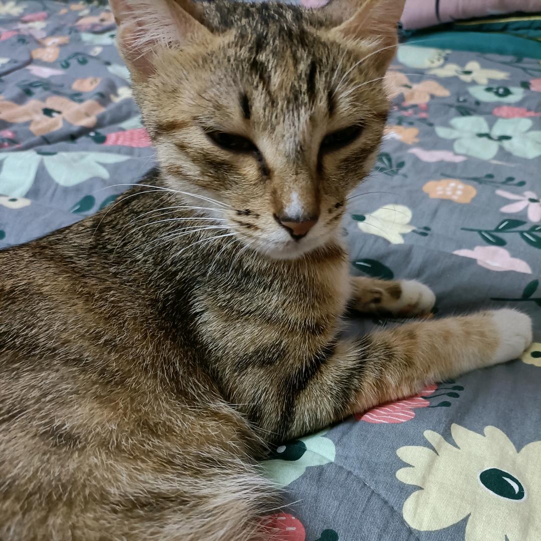 二姐❤️529
